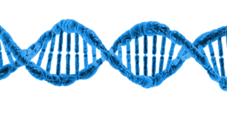 Aging Happens at Certain Milestones