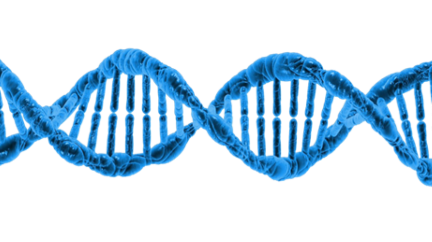Picture of a DNA strand.